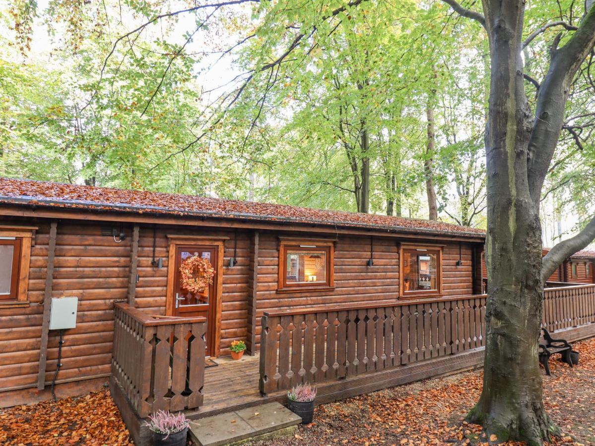 Leafy Hollow Lodge Louth  Esterno foto